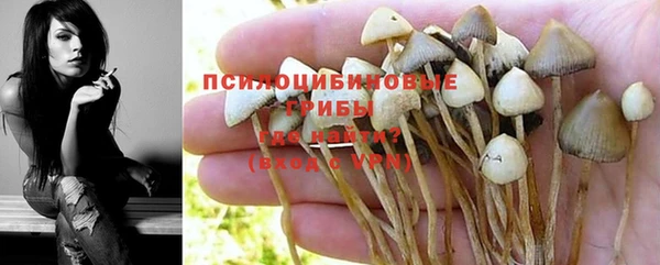 кокаин Алексин